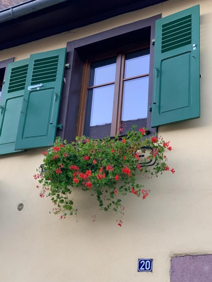 Gite Du Clocher Dans Ancienne Maison Du Vignoble Niedermorschwihr 외부 사진