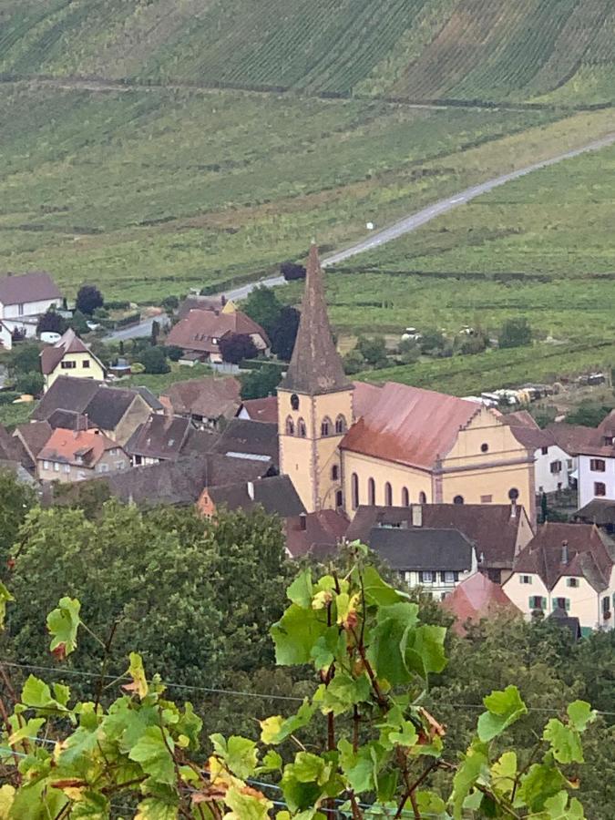 Gite Du Clocher Dans Ancienne Maison Du Vignoble Niedermorschwihr 외부 사진